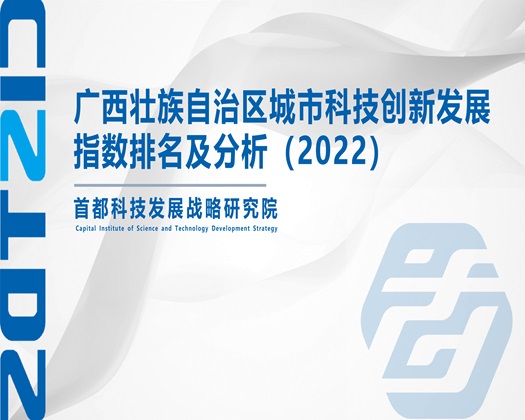 www.插啊插【成果发布】广西壮族自治区城市科技创新发展指数排名及分析（2022）